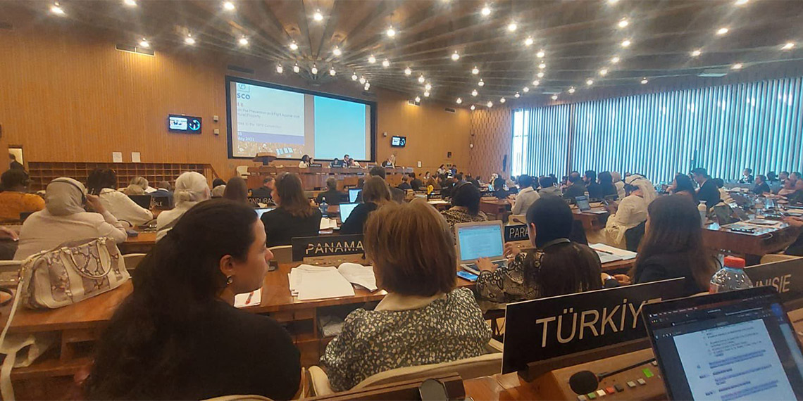 Türkiye kültür varlığı kaçakçılığı komitesine üye oldu