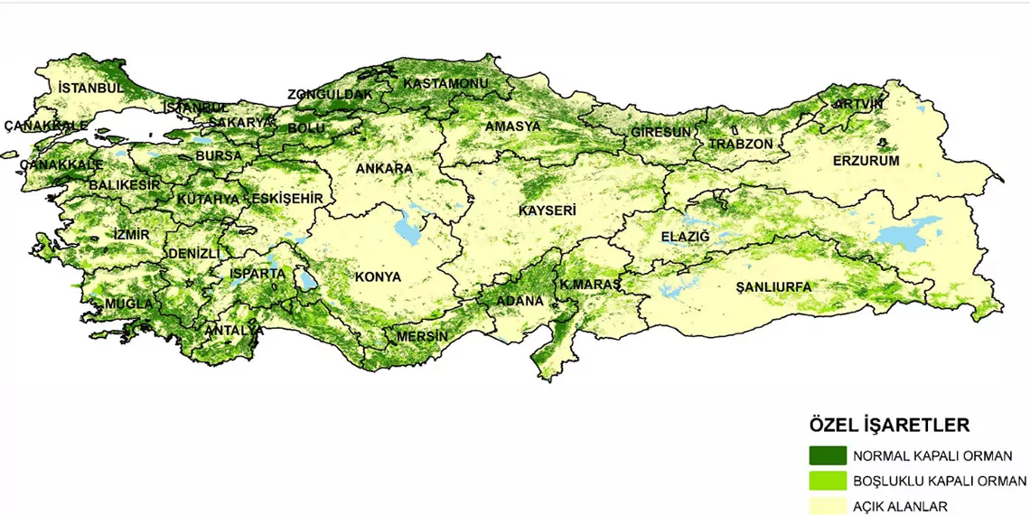 Orman genel müdürlüğü (ogm) ve antalya orman bölge müdürlüğü verilerine göre türkiye'nin en yeşil kentleri belirlendi.