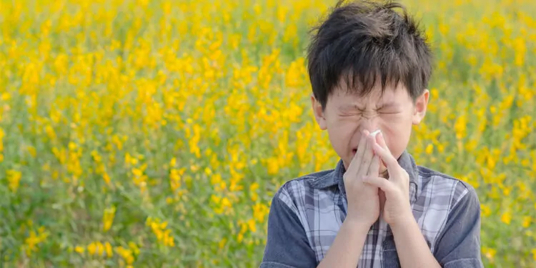 İklim değişikliği alerjinin şiddetini artırıyor