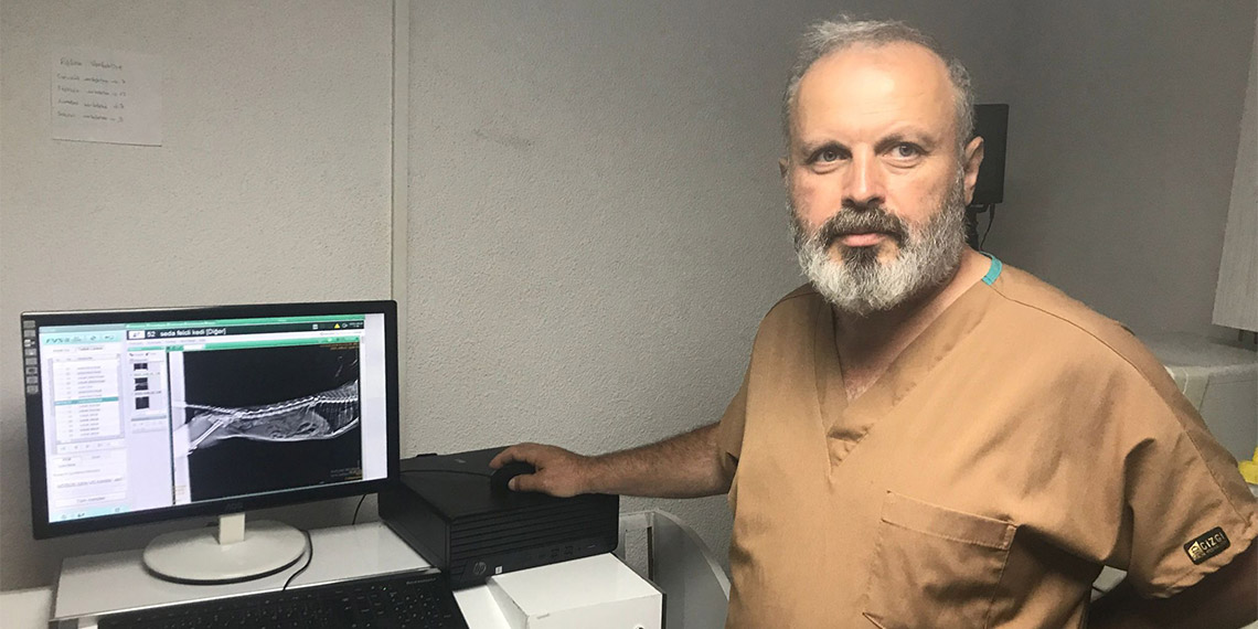 Zonguldak'ta kimliği belirsiz kişilerce havalı tüfekle vurulan kedinin felç olduğu belirtildi.