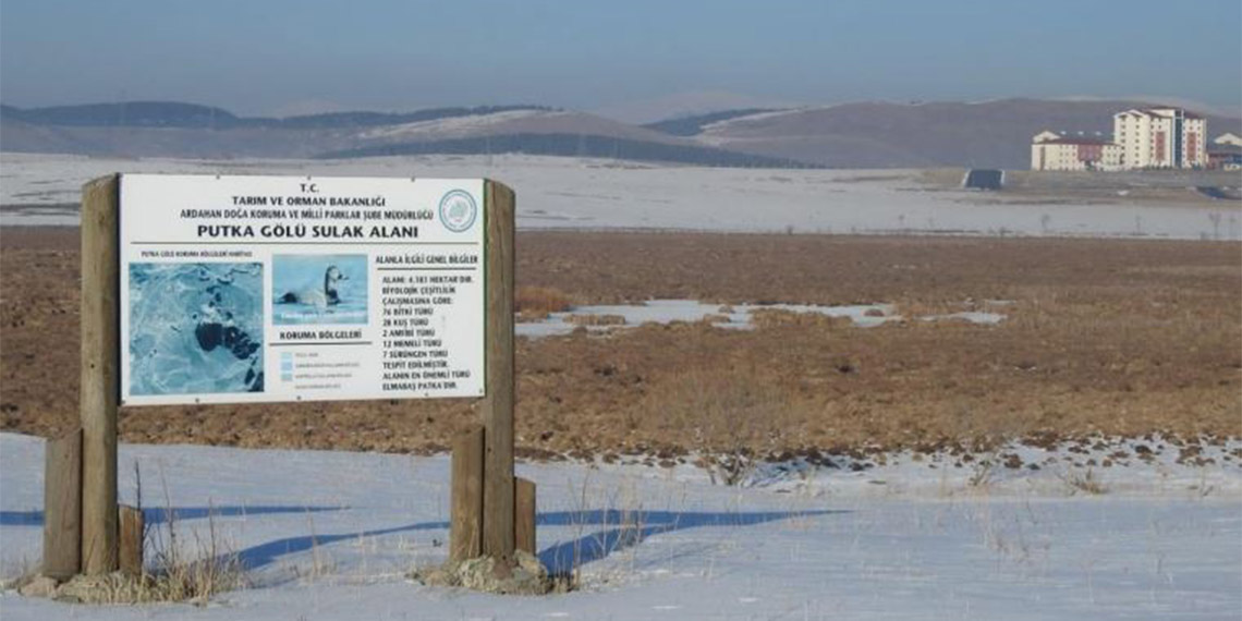 145 alanda 2 milyonu aşkın su kuşu sayıldı