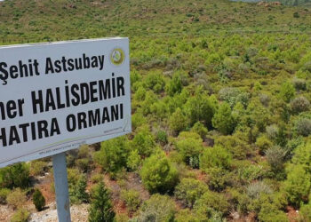 15 Temmuz darbe girişiminde şehit olan vatandaşların anısı yaşatılıyor