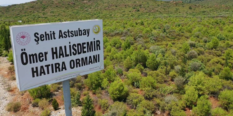 15 Temmuz darbe girişiminde şehit olan vatandaşların anısı yaşatılıyor