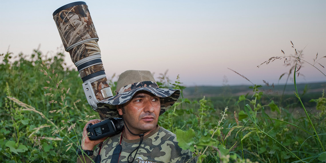 Lertha Extensa isimli böcek Diyarbakır'da görüntülendi