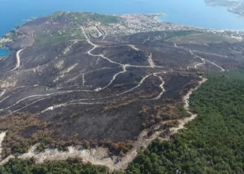 20 günde 295 orman yangını çıktı