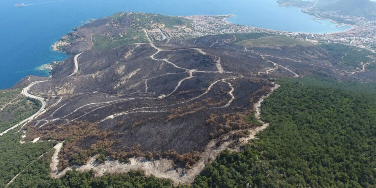 20 günde 295 orman yangını çıktı