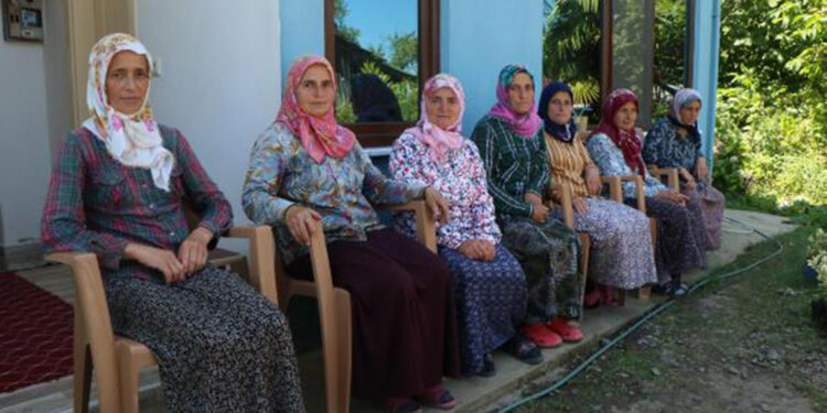 7 kız kardeş, bahçelerinde çiçek yetiştirip satıyor