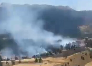 Adana'da anız yangını ormana sıçradı
