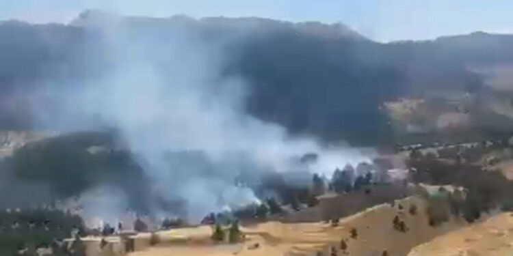 Adana'da anız yangını ormana sıçradı