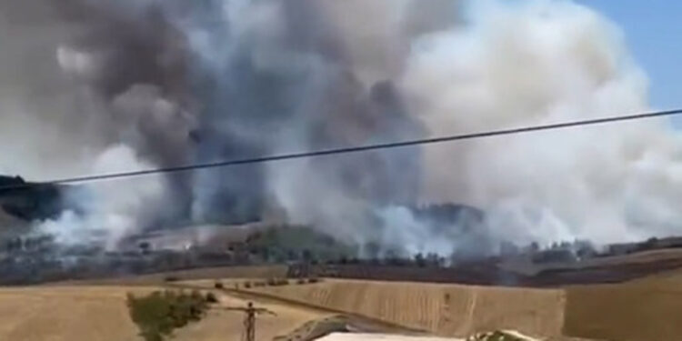 Adana'da orman yangını çıktı