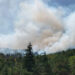 Afyonkarahisar'da orman yangını