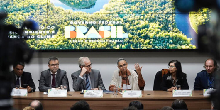 Amazon ormanlarında ağaçların kesimi 2023’te düştü