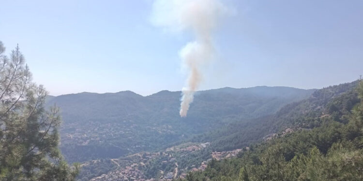 Antalya Alanya'da orman yangını