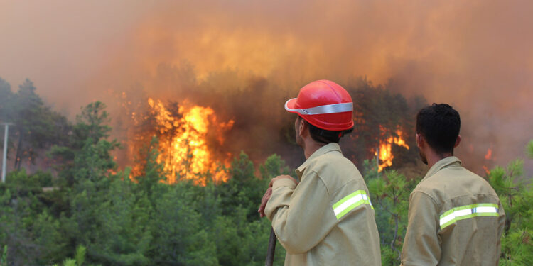 Antalya Orman Bölge Müdürü'nden manal uyarısı