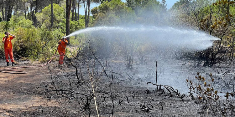 Antalya'da çıkan orman yangını söndürüldü