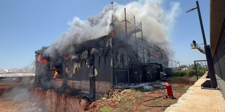Antalya'da tarım ürünleri fabrikasında yangın