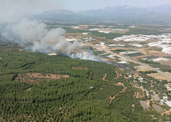 Antalya'nın 2 ilçesinde orman yangını