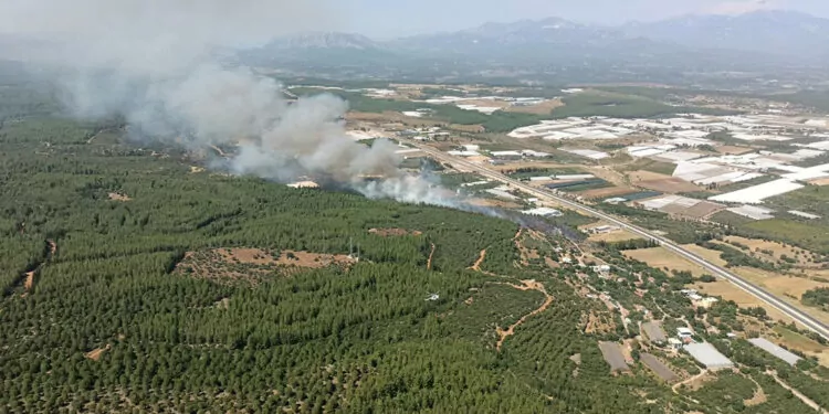 Antalya'nın 2 ilçesinde orman yangını