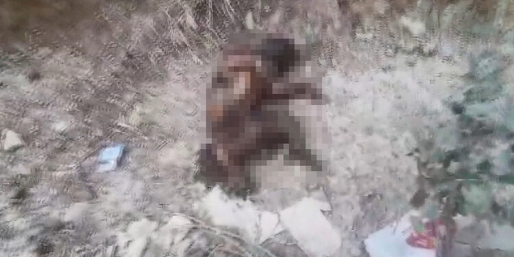 Ayakları kesilen yavru köpek yakılıp, yol kenarına atıldı