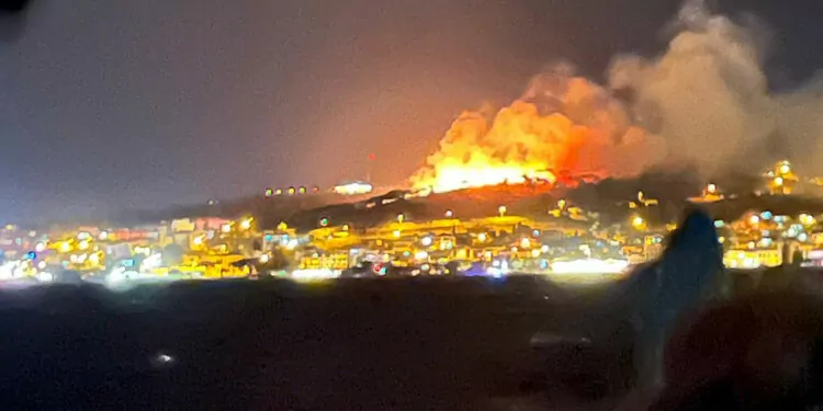 Ayvalık'taki yangında 6 hektar zarar gördü