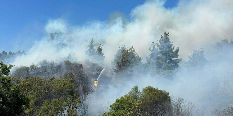 Balıkesir'de orman yangını çıktı