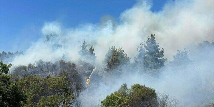 Balıkesir'deki yangında 5 hektar alan zarar gördü