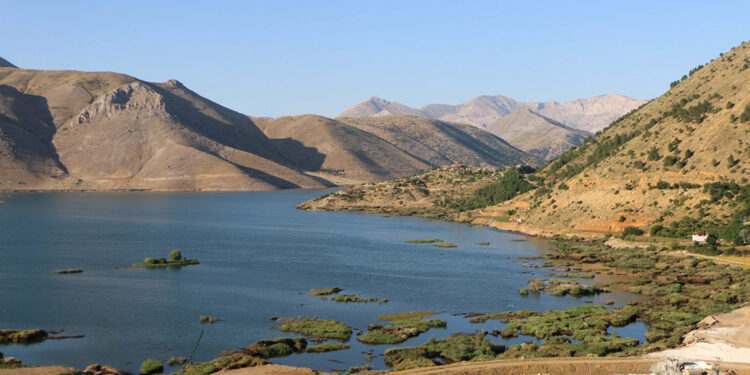 Baraj gölündeki yüzen adalar sabitlendi