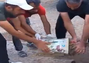 Başı teneke kutuya sıkışan yavru ayı kurtarıldı