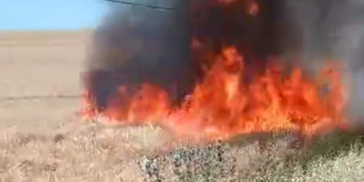 Batman'da buğday ekili arazide yangın çıktı