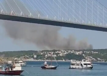 Beykoz'da orman yangını