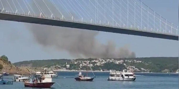 Beykoz'da orman yangını