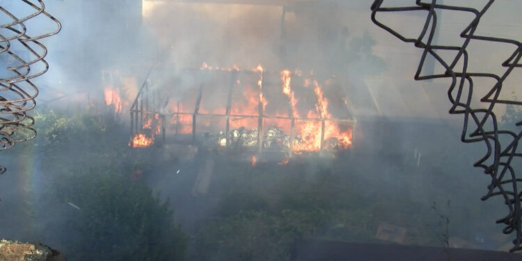 Beyoğlu'nda çiçek serası alev alev yandı