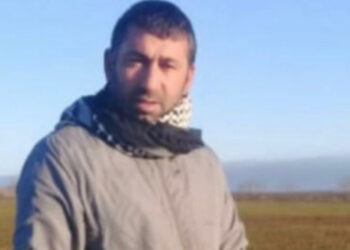 Bingöl'de arının soktuğu çoban öldü