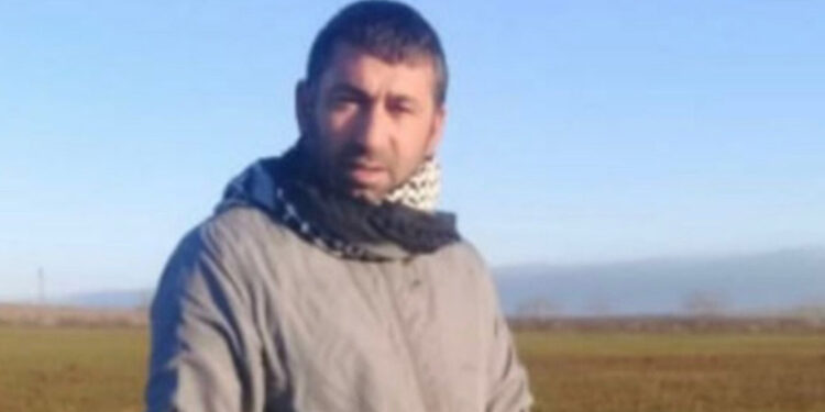 Bingöl'de arının soktuğu çoban öldü