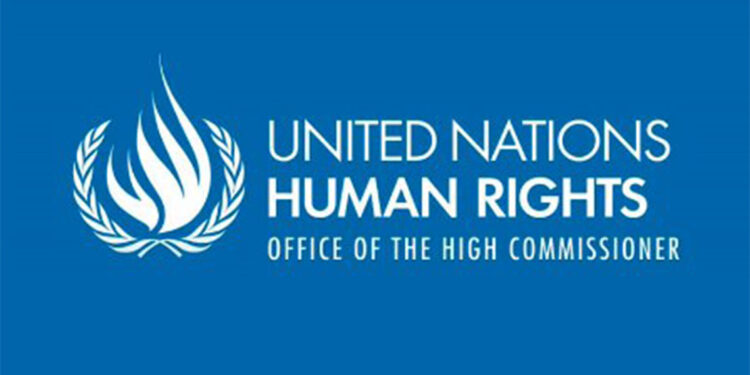 Toplu mezara gömülen 87 kişinin cansız bedeni bulundu