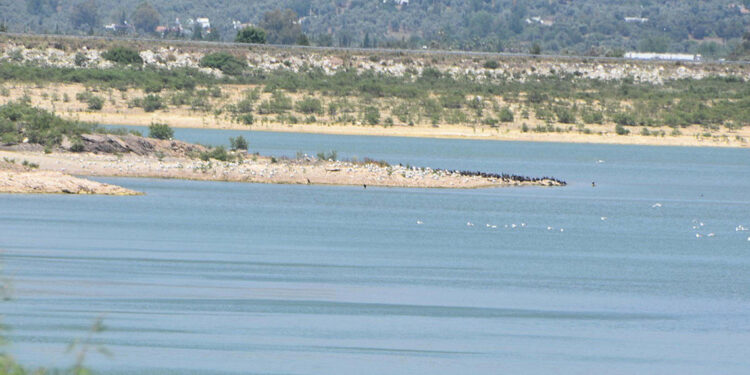 Bodrum'daki barajlarda doluluk oranı yüzde 5 azaldı