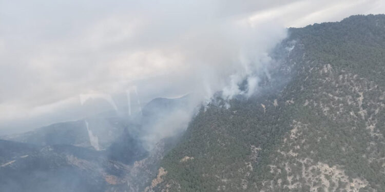 Bolu'da yıldırım düşen ormanda yangın