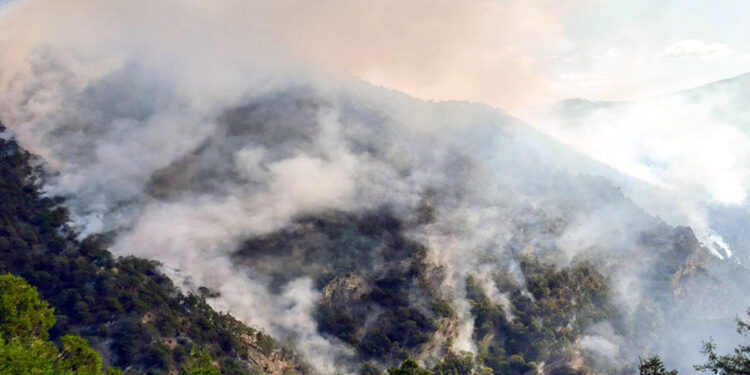 Bolu'daki orman yangını 3'üncü gününde