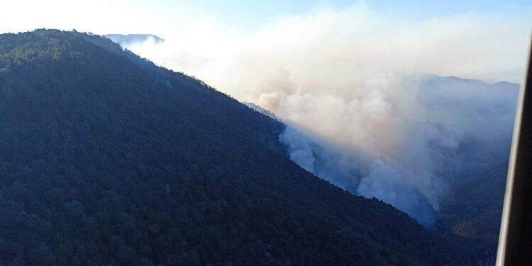 Bolu'daki orman yangınına havadan müdahale