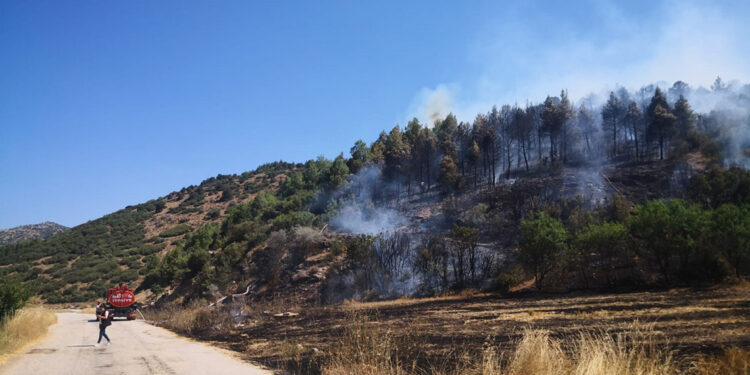Burdur Bucak'ta orman yangını