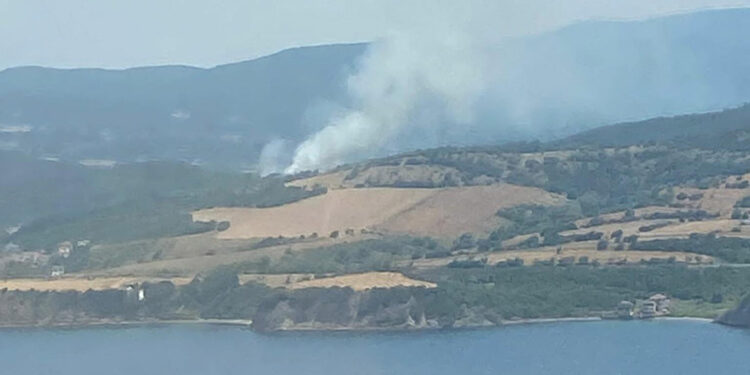 Çanakkale Lapseki'de orman yangını çıktı