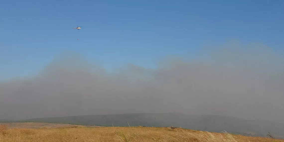 Canakkaledeki orman yanginina mudahale suruyorr - öne çıkan - haberton