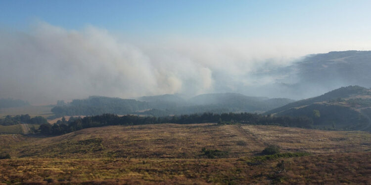 Çanakkale'deki orman yangınına müdahale sürüyor
