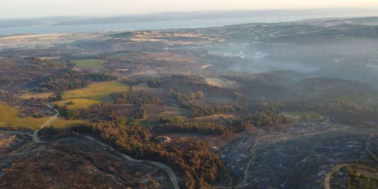 Çanakkale'deki yangında 2 bin 500 hektar alan kül oldu