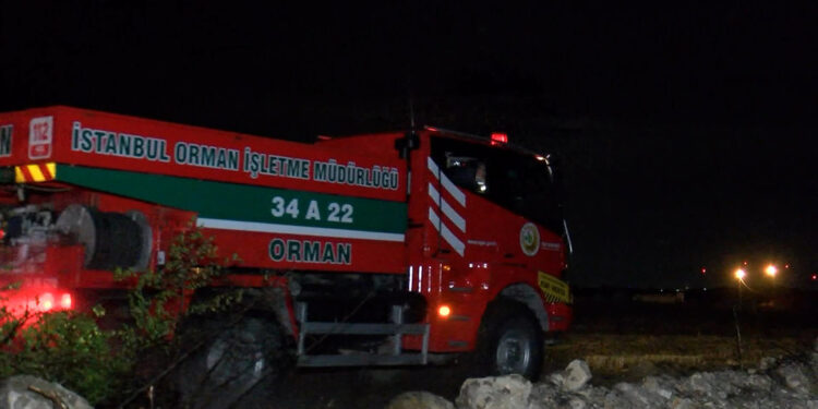 Çatalca'da buğday tarlasında çıkan yangın söndürüldü