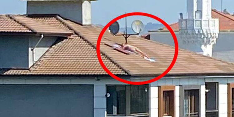 Çatıda çıplak halde güneşlenen erkek tepki çekti