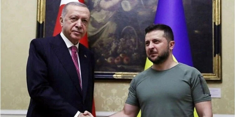 Cumhurbaşkanı Erdoğan yarın Zelenski ile görüşecek
