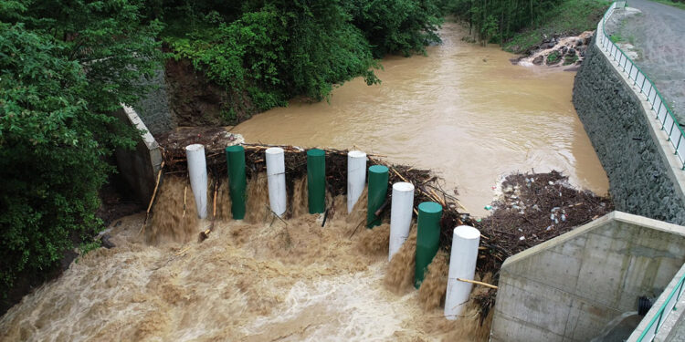 Derelerdeki tedbirlerle taşkınlar felakete dönüşmedi