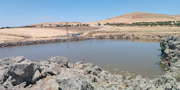 Dicle Nehri'ne giren 3 kişi boğuldu
