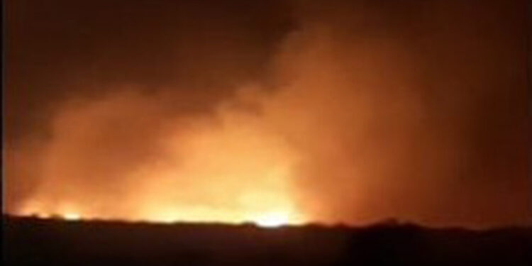 Diyarbakır Lice'de orman yangını